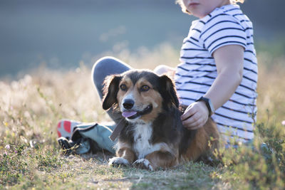 Dog on field