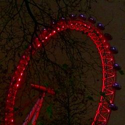Low angle view of trees at night