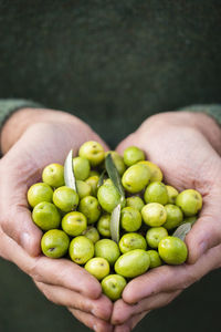 Close-up of hand holding olives