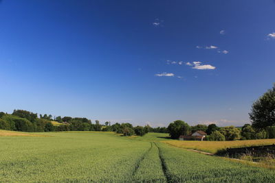 View over field