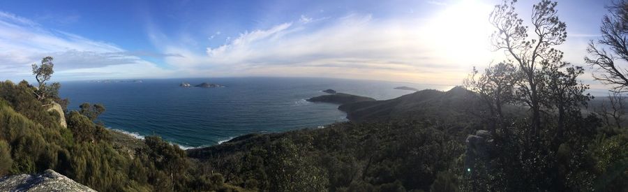 Panoramic view forest and sea