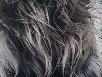 Close up of human hair on tiled floor