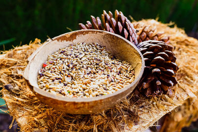 High angle view of dried plant in container