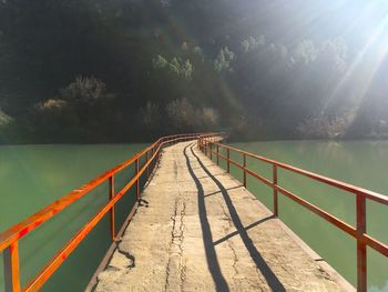 Scenic view of lake by trees