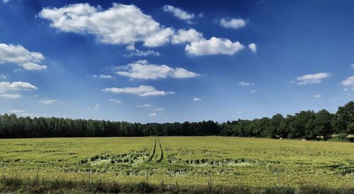 Scenic view of field against sky