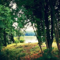 Scenic view of lake