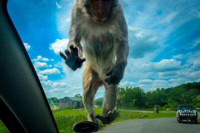 Cars on road against cloudy sky
