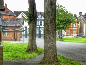 View of building with trees in background