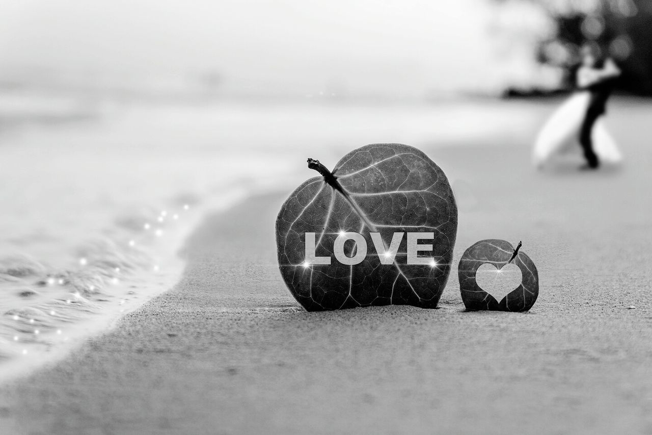 text, western script, communication, beach, focus on foreground, selective focus, close-up, sand, sea, number, capital letter, shore, warning sign, sign, guidance, metal, water, no people, day, outdoors