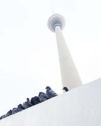 Low angle view of eiffel tower