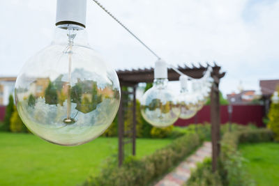 A close-up of an incandescent lamp hanging in the garden backyard