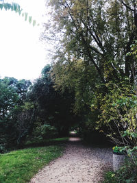 Footpath amidst trees in forest against sky