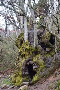 Close-up of sculpture against trees