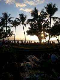 Palm trees at sunset