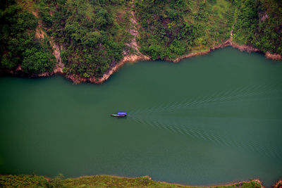Aerial view of boat in river