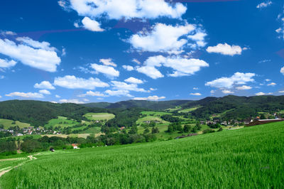 Scenic view of agricultural field against sky