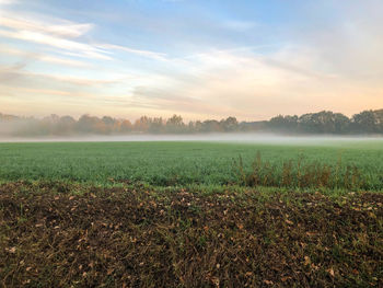 Scenic view of field against sky during foggy weather