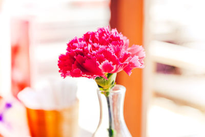 Bouquet of pink flowers in glass bottle over blur background