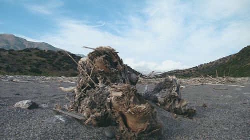 Panoramic view of landscape against sky