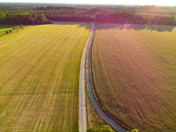 High angle view of agricultural field