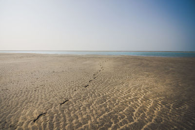 Scenic view of beach against clear sky