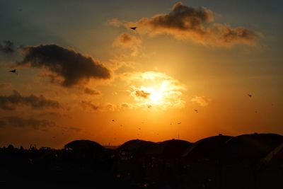 Silhouette birds flying in sky during sunset