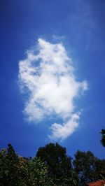Low angle view of trees against blue sky