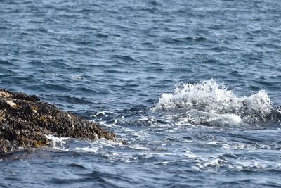 Scenic view of sea waves