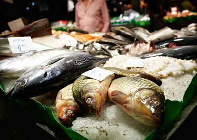 Fishes at market for sale