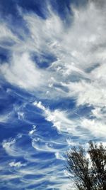 Low angle view of trees against blue sky