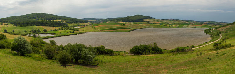 Scenic view of agricultural field against sky