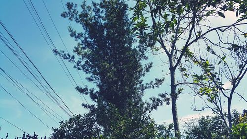 Low angle view of electricity pylon