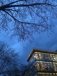 Low angle view of bare tree against sky at night