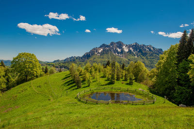 Mountain lake surrounded by flourishing vegetation