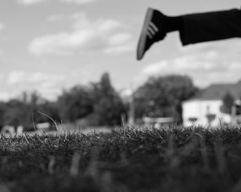 Close-up of grass on field against sky