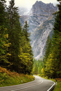 Scenic view of pine trees and mountains against sky