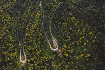 High angle view of road