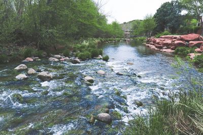 Scenic view of trees against sky