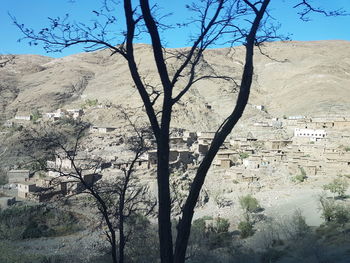 View of trees on landscape against sky