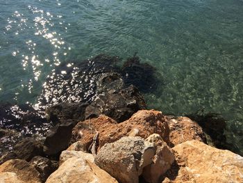 High angle view of rocks in sea