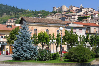 Trees and buildings in town against clear sky