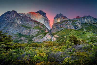 Plants growing on rock against sky