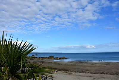 Palm trees on beach against sky