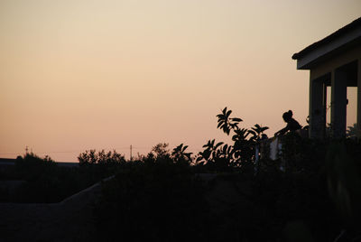 Silhouette plants against sky during sunset