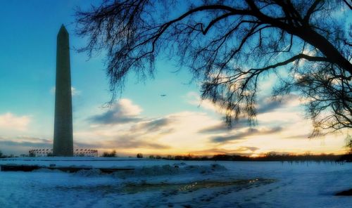Bare trees on snow covered landscape