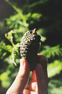 Close-up of hand holding ice cream cone outdoors