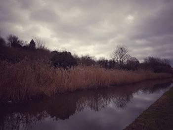 Reflection of silhouette trees in lake against sky