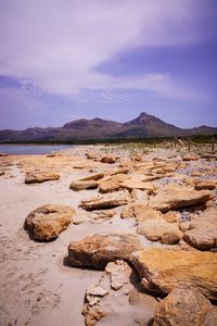 Scenic view of beach against sky