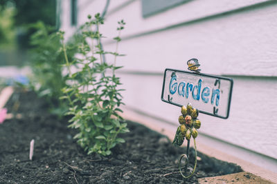 Close-up of garden text by plant against wall