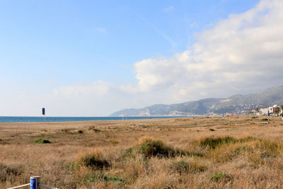 Scenic view of field against sky